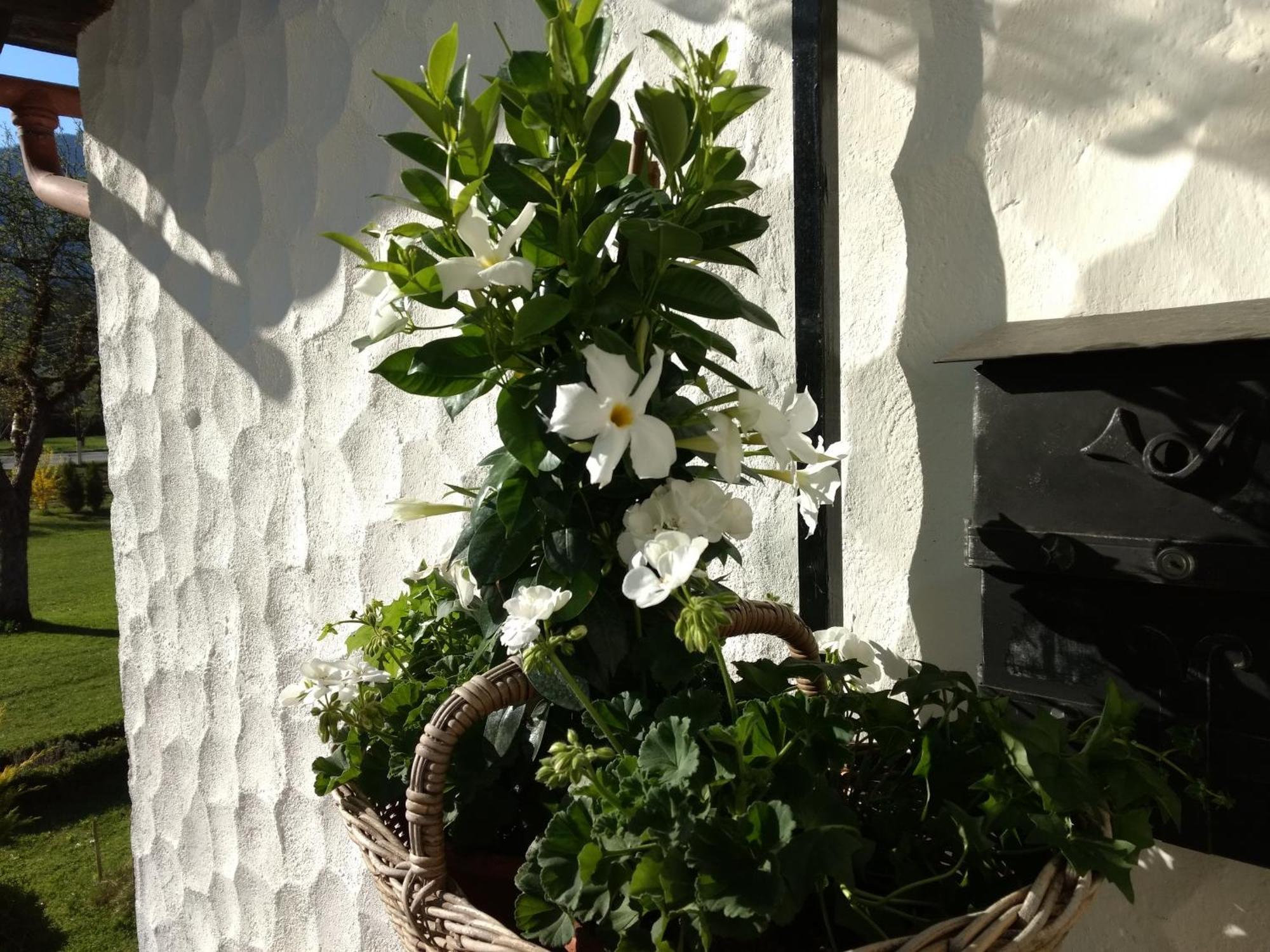 Haus Alpenblick Apartment Obertraun Luaran gambar
