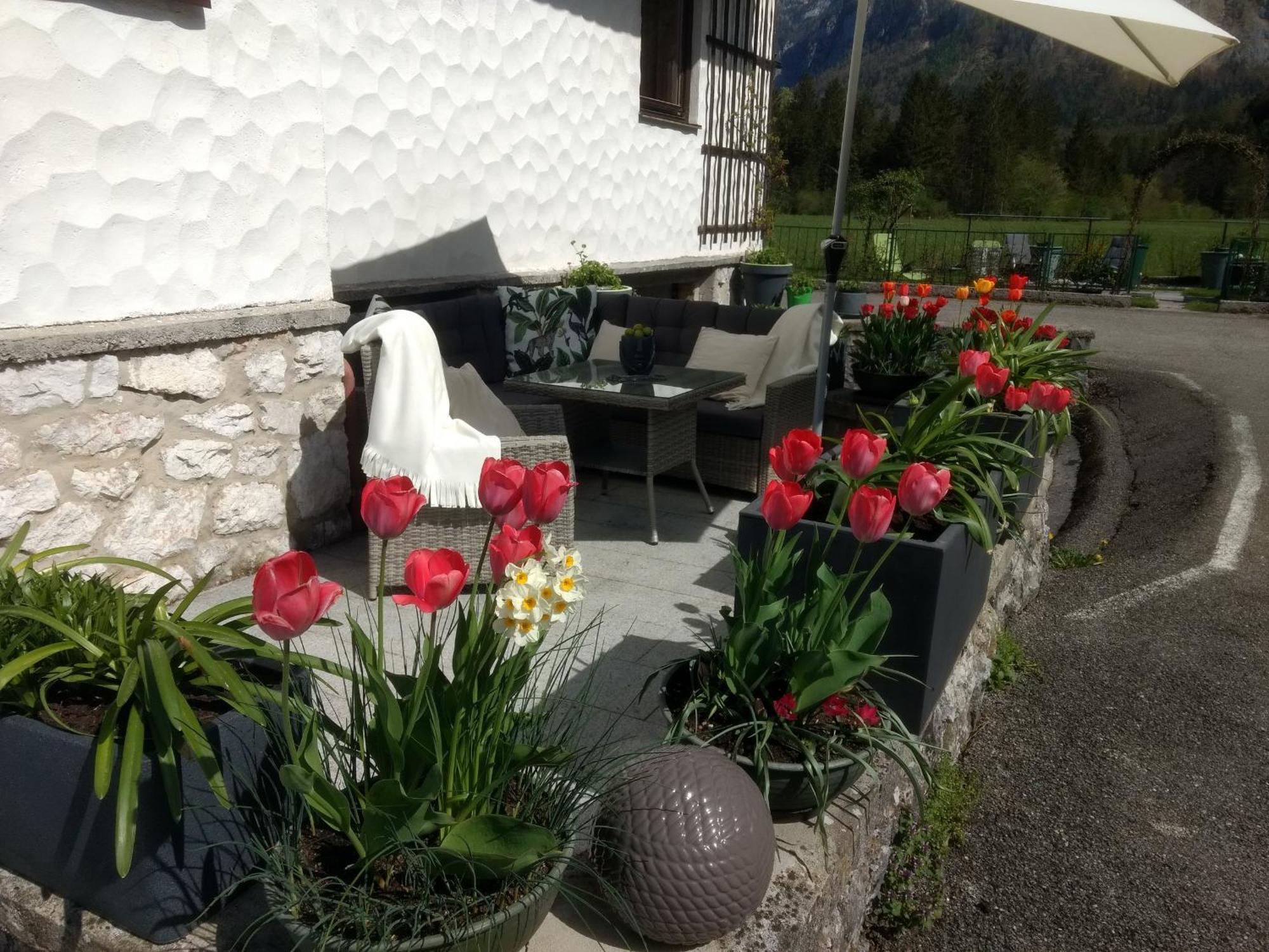 Haus Alpenblick Apartment Obertraun Luaran gambar