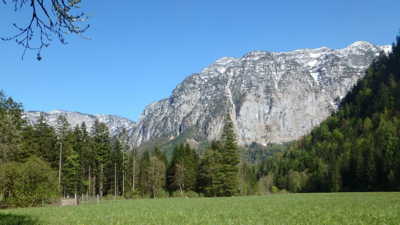 Haus Alpenblick Apartment Obertraun Luaran gambar